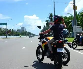 IPVA zero